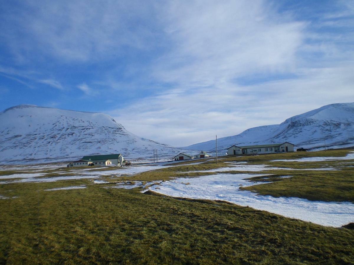 Steinnyjarstathir Skagastrond Экстерьер фото
